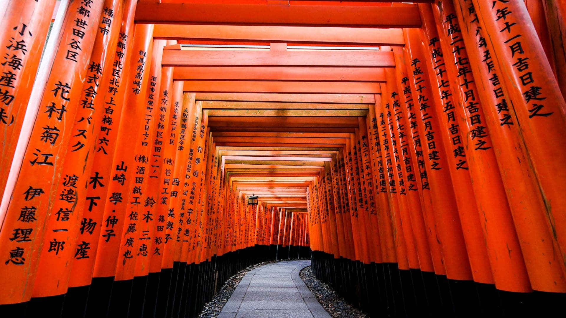 Japonés express ( 2 meses) introductorio