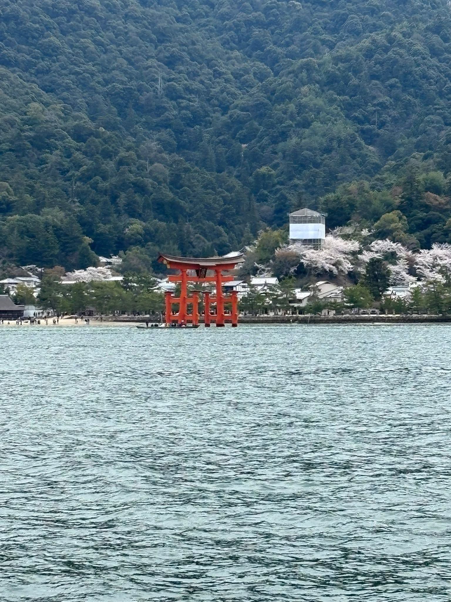 El origen de los torii, puertas sagradas en Japón.